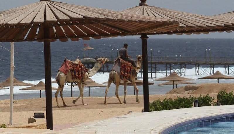 Life Resort Coral Hills El Qoseir Dış mekan fotoğraf